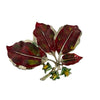 A Vintage Copper Beech Brooch, signed Exquisite