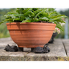 Cat Plant Pot Feet - Set of Three