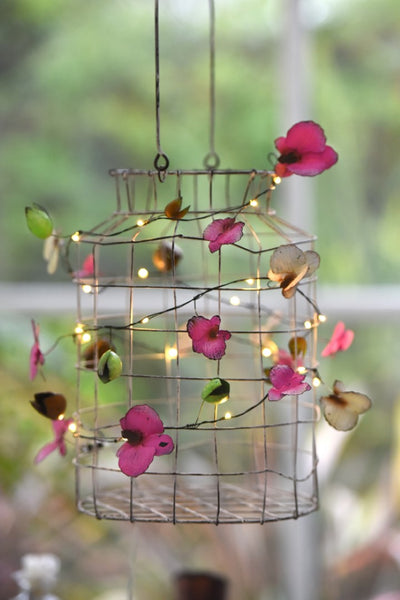 Orchid Fairy Lights