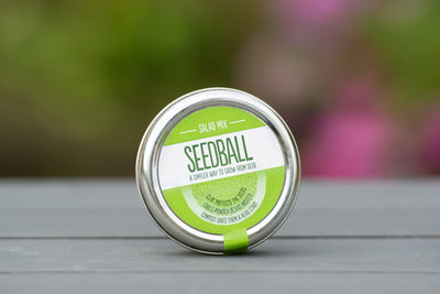 Seedball - Salad Mix