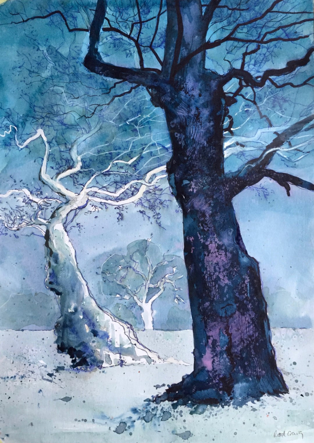 Blenheim: Reflections in Paint and Poetry, Rod Craig and Peter Adamson