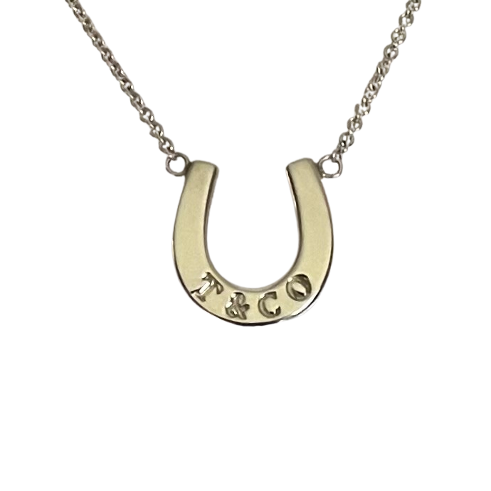 Vintage Tiffany & Co. Sterling Silver Horseshoe Pendant Necklace with Original Box and Pouch