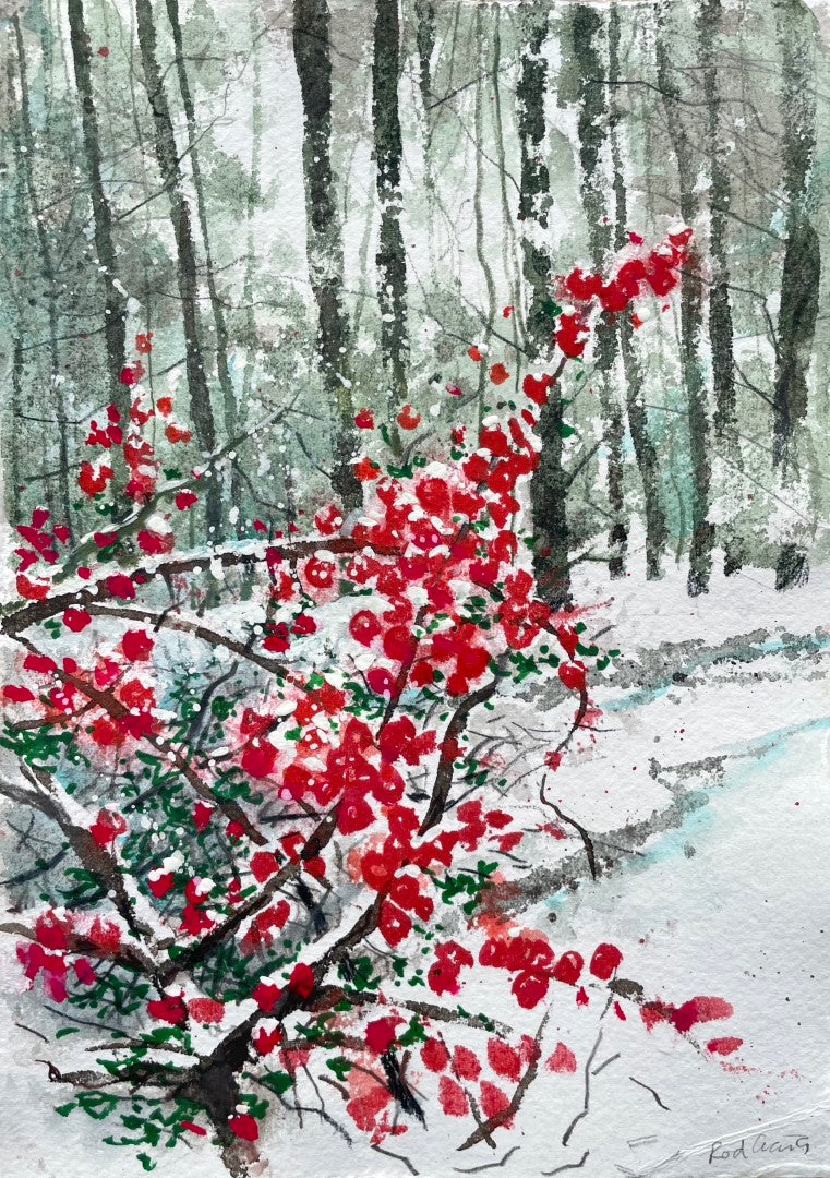 Winter Berries 1, A Watercolour Painting by Artist Rod Craig