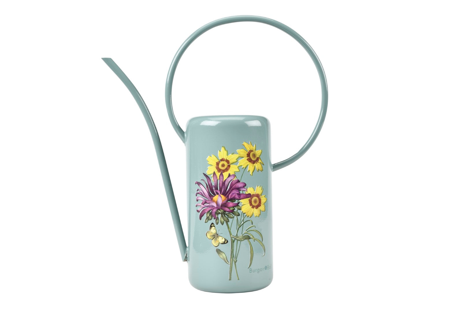 Asteraceae Indoor Watering Can