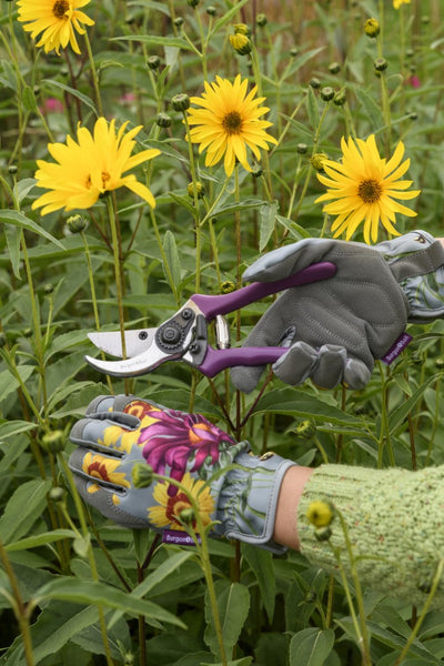 sunflower gardening gloves Burgon & Ball Asteraceae Gardening Gloves