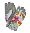 Asteraceae Gardener's Gloves