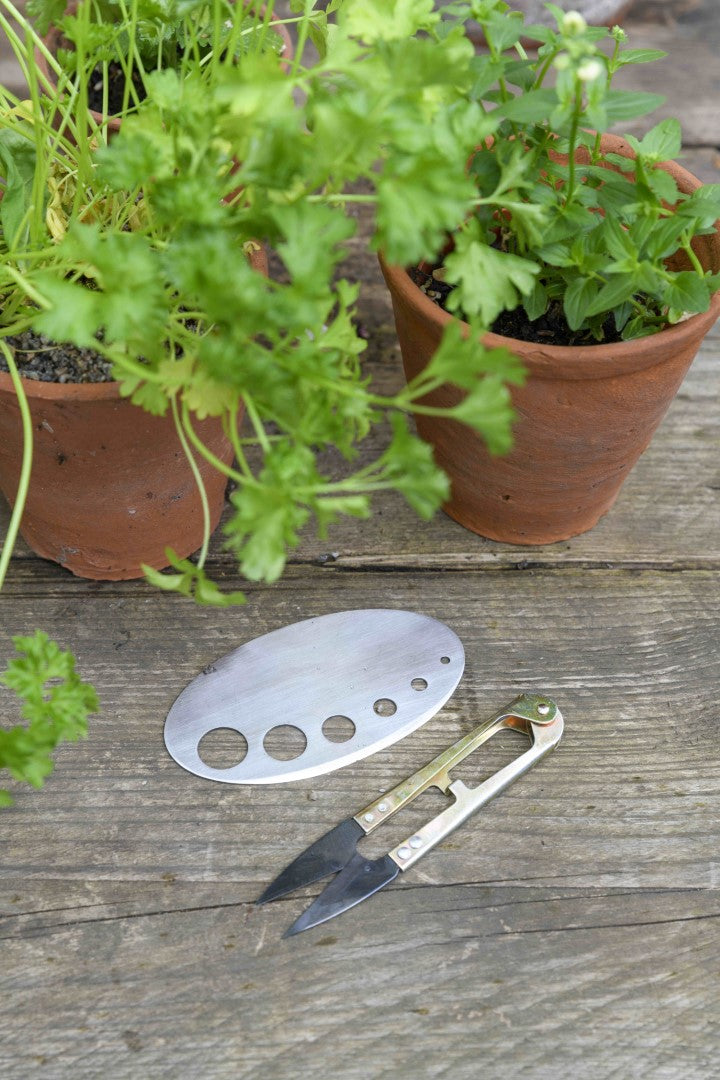 Garden Gift Set - Herby Harvest