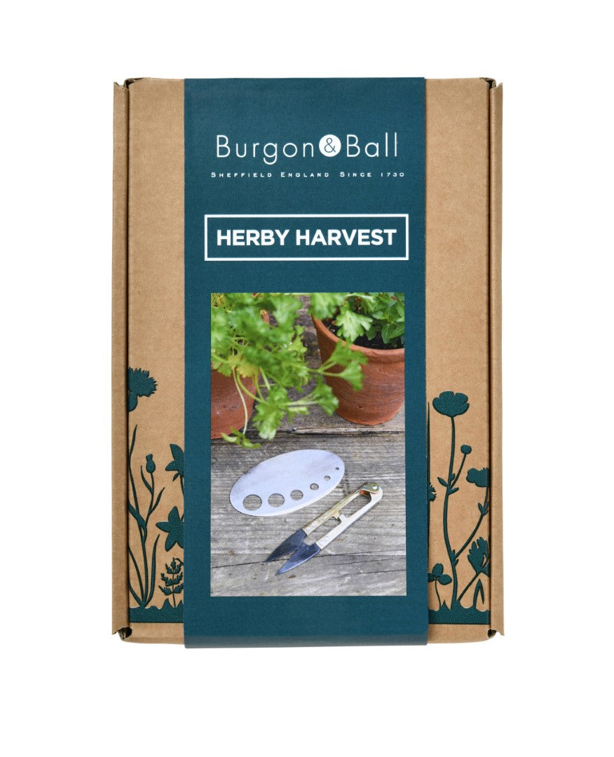 Garden Gift Set - Herby Harvest