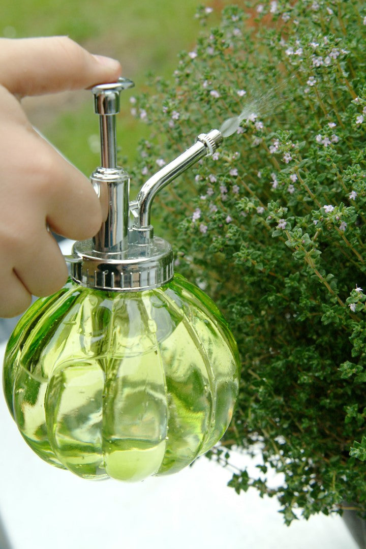 Plant Mister,  Citrine