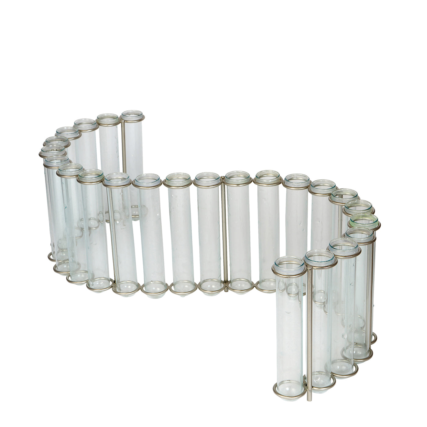 Test Tube Flower Vase - 'S' shaped