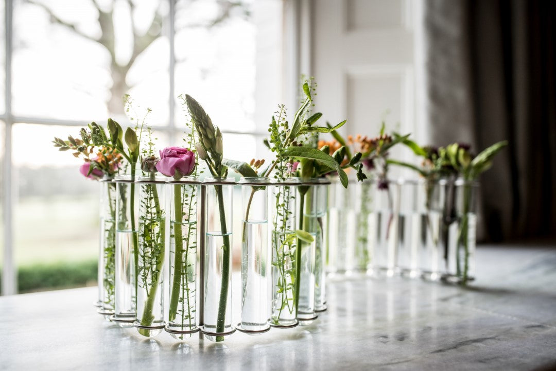 Test Tube Flower Vase - 'S' shaped