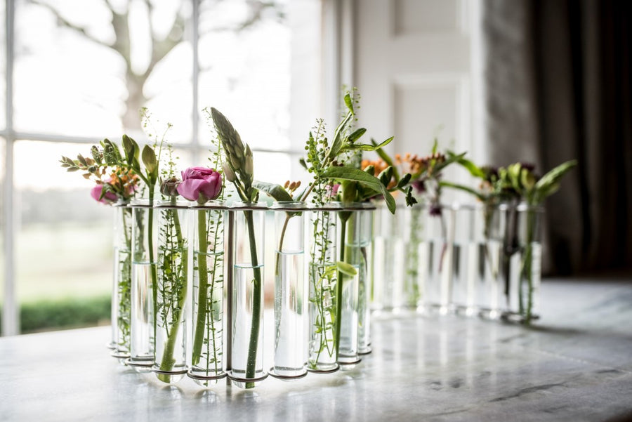 Test Tube Flower Vase - 'S' shaped