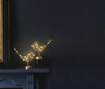 Table Robin LED Lights