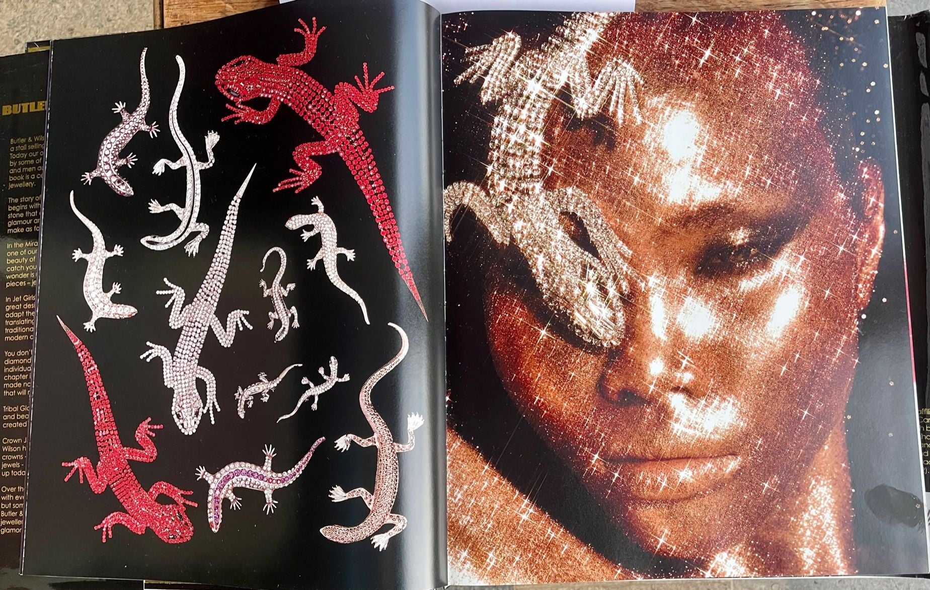 Butler & Wilson 40th anniversary book showing lizards.