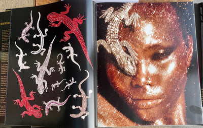 Butler & Wilson 40th anniversary book showing lizards.
