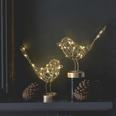 Table Robin LED Lights