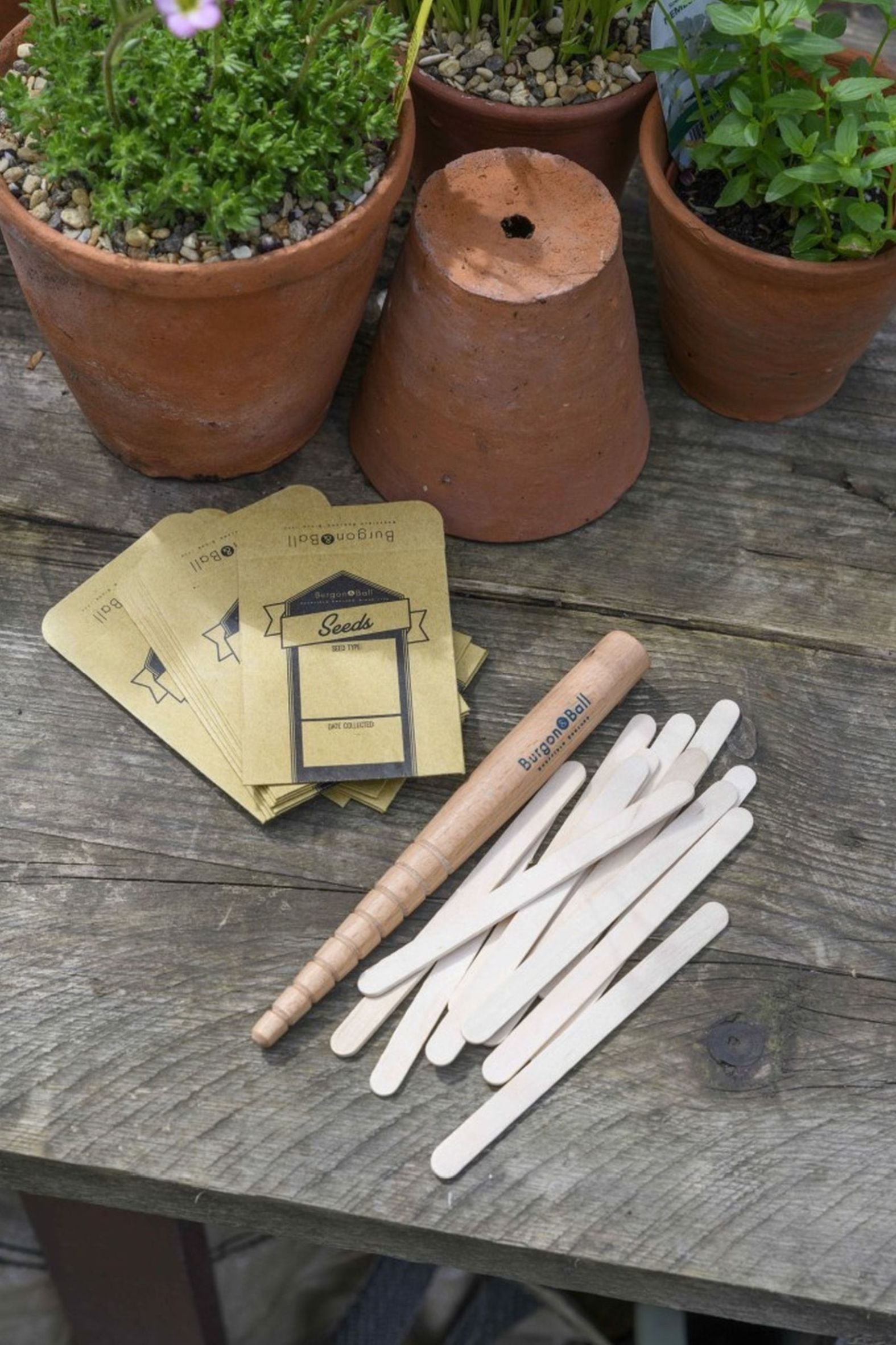 Garden Gift Set - Sow & Grow, box