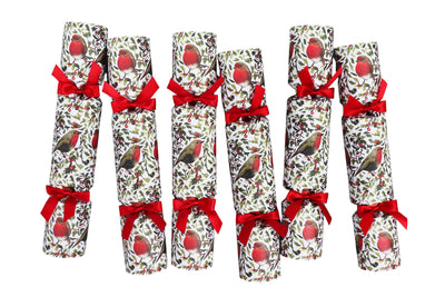 Luxury Christmas Crackers - Robins