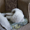 Luxury Alpaca Fur Slippers - Oyster