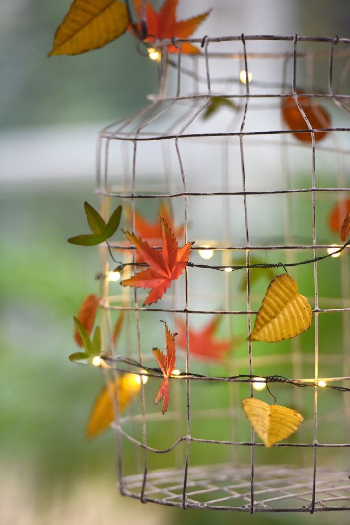 Autumn Leaves LED lights