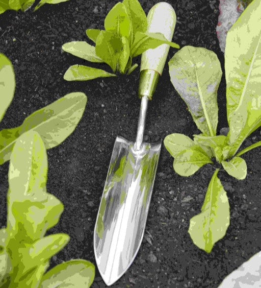 Sophie Conran Long Thin Trowel