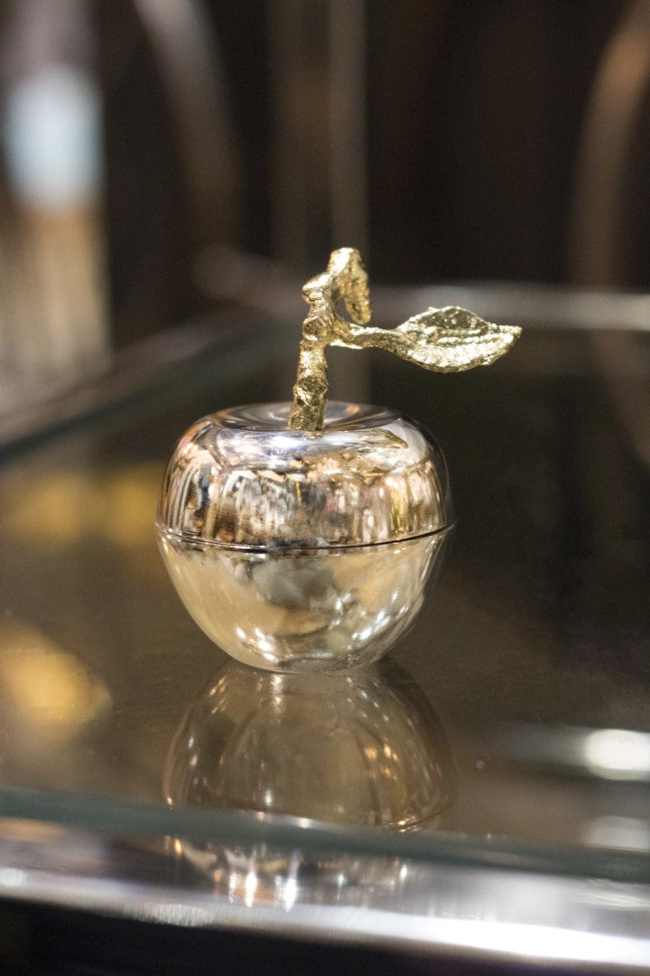 Apple with Wax Candle