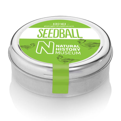 Seedball - Bird Mix