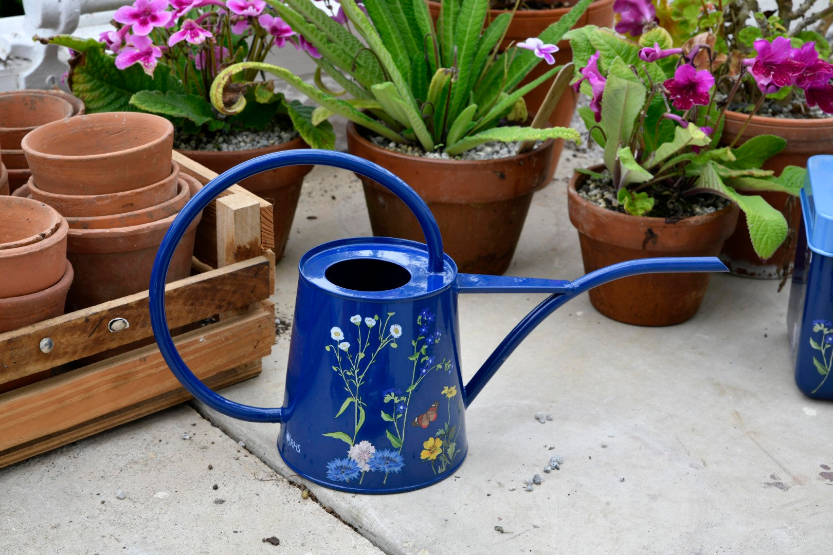 British Meadow Indoor Watering Can