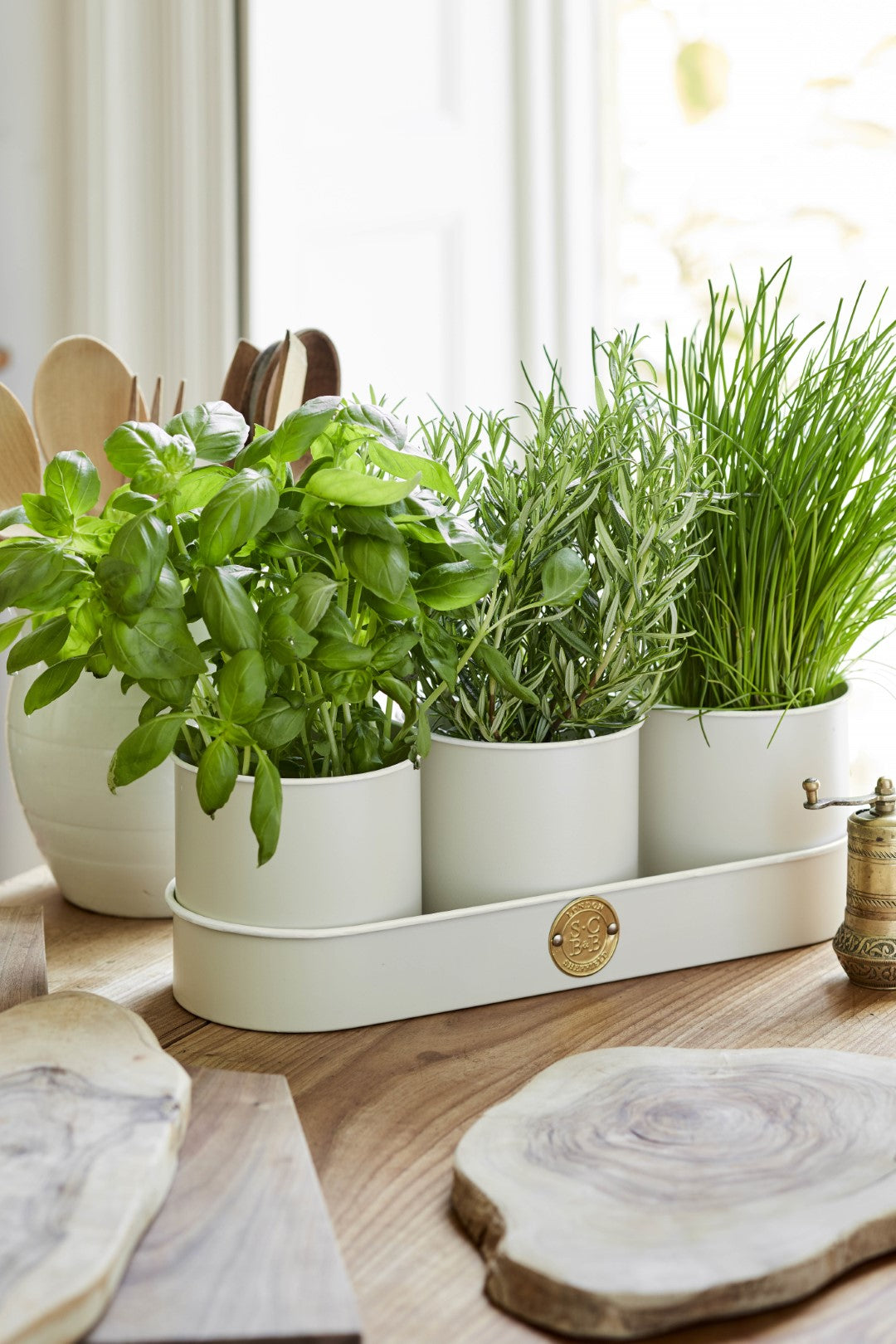 Herb Pots - Buttermilk - annabeljames