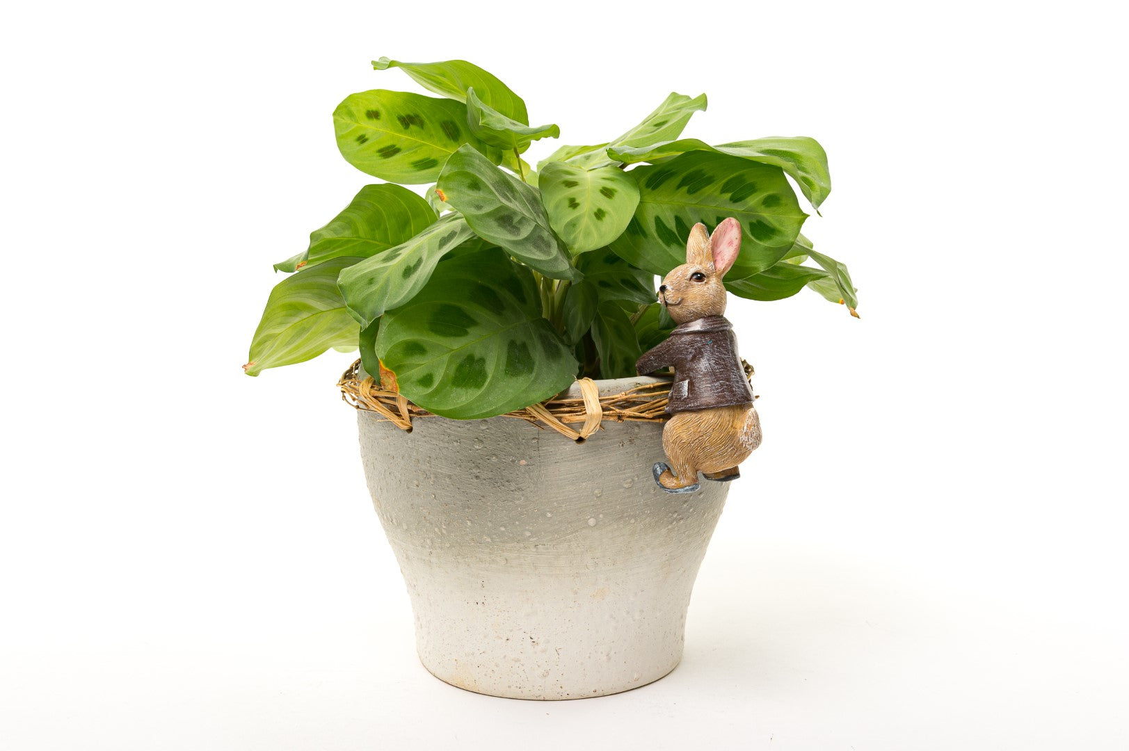 Beatrix Potter Benjamin Bunny Plant Pot Hanger