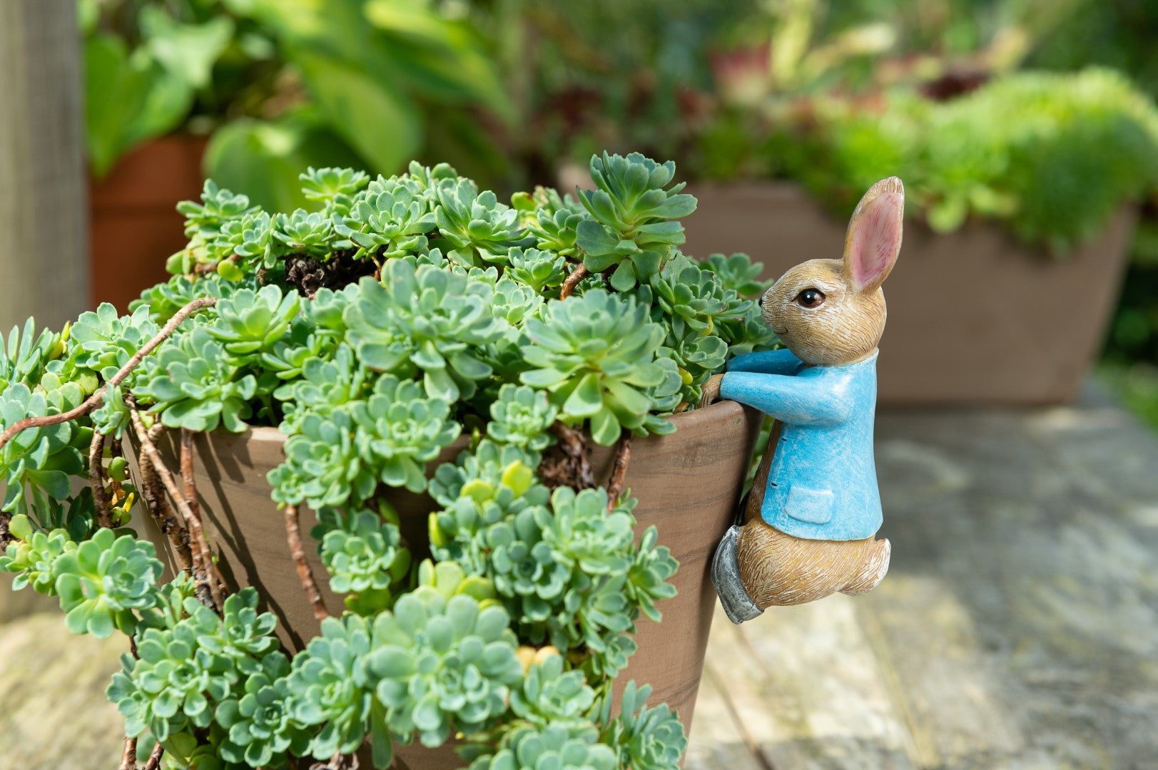 Peter Rabbit Plant Pot Hanger