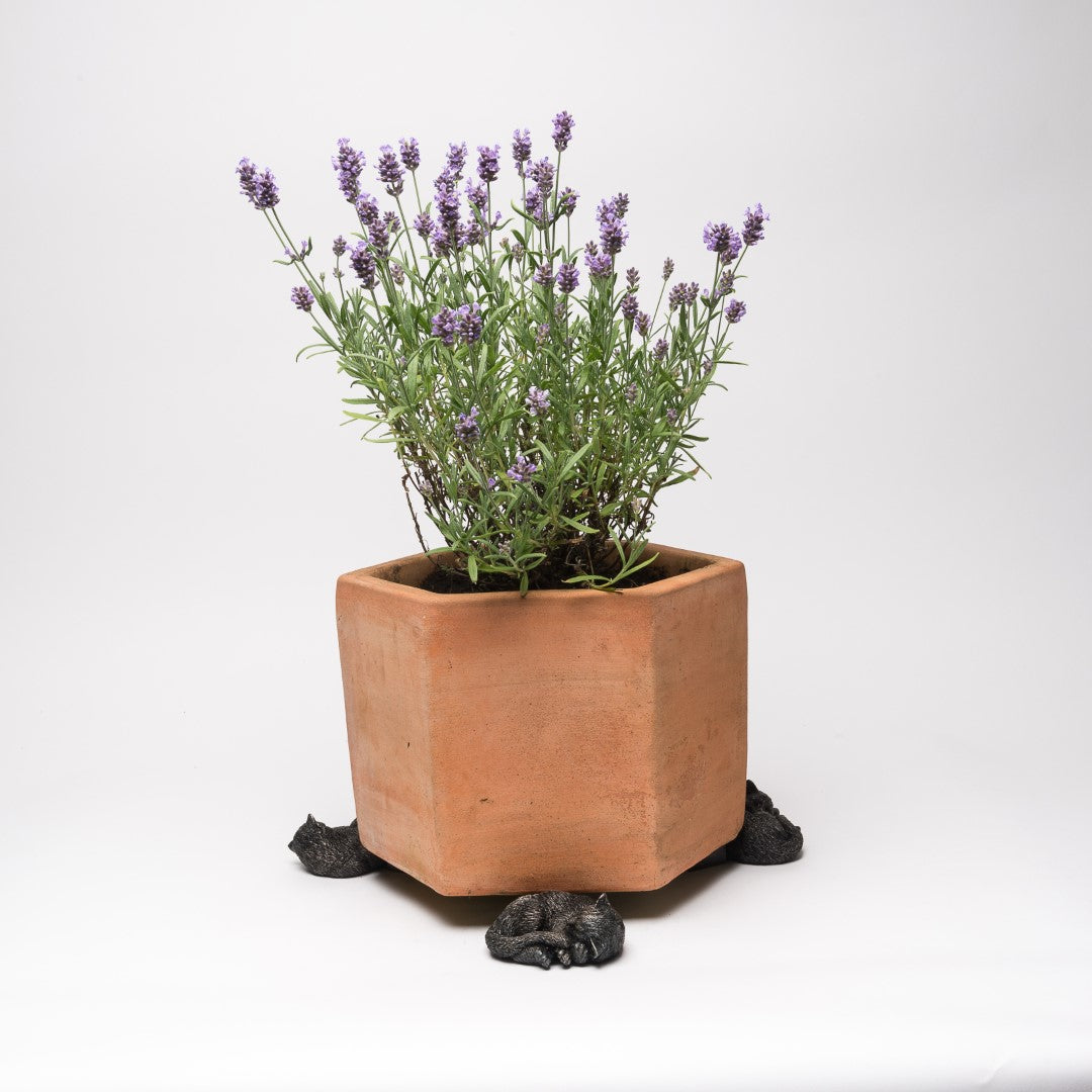 Cat Plant Pot Feet - Set of Three