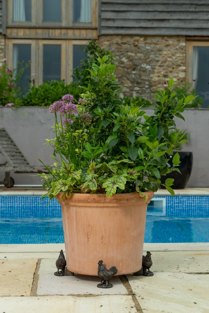 Chicken Plant Pot Feet - Set of Three