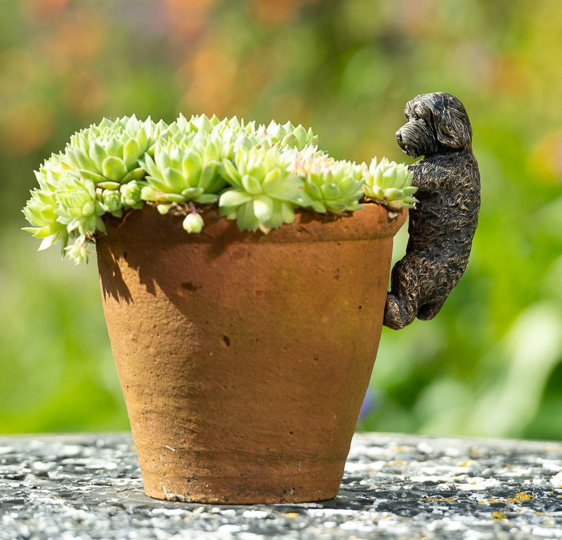 Antique Bronze Coloured Cockapoo Plant Pot Hanger