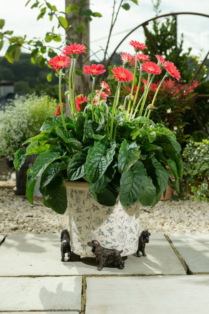 Spaniel Plant Pot Feet - Set of Three