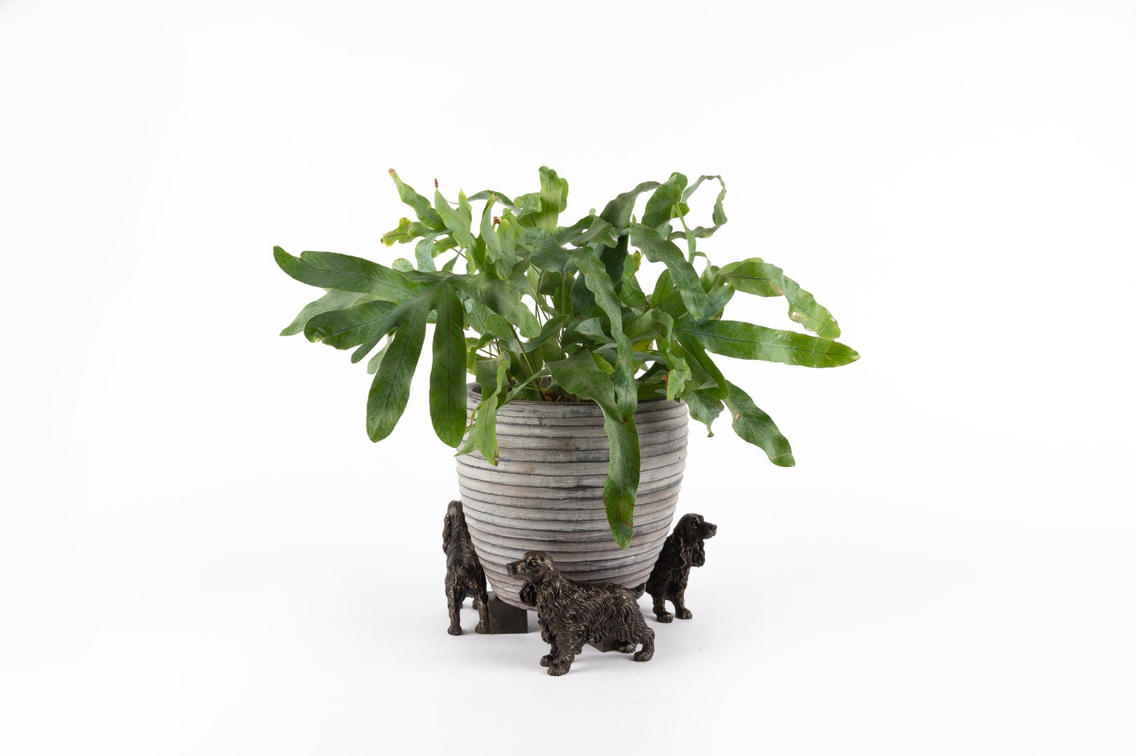 Spaniel Plant Pot Feet - Set of Three