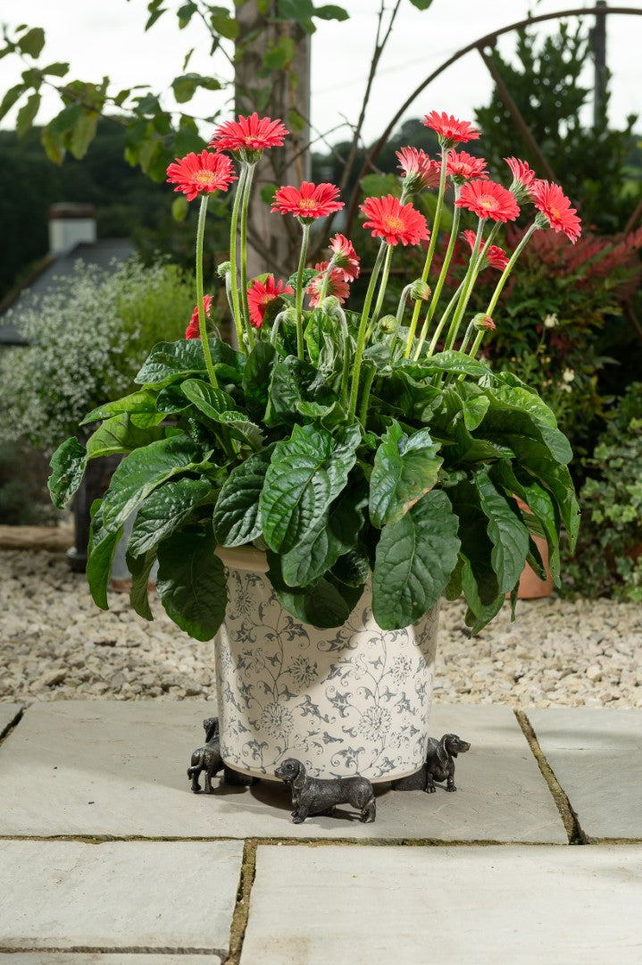 Antiqued Bronze Dachshund Plant Pot Feet - Set of Three
