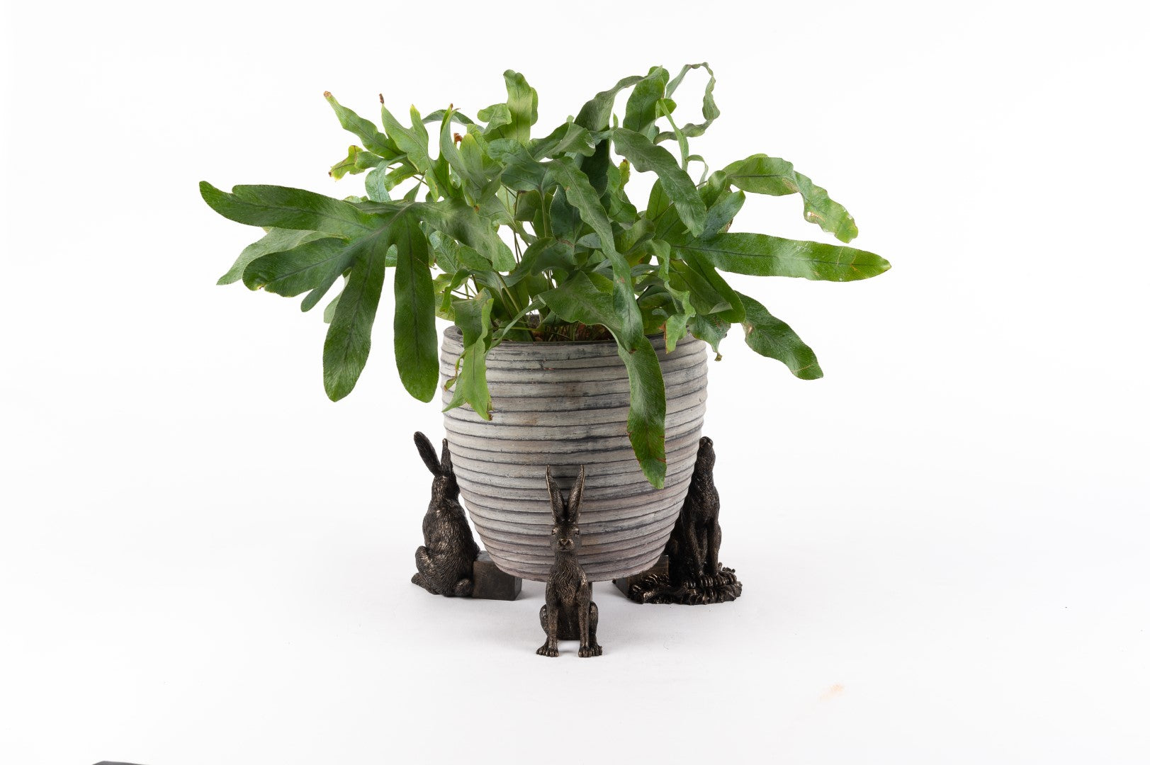 Antique Bronze Set of Hares Plant Pot Feet - Set of Three