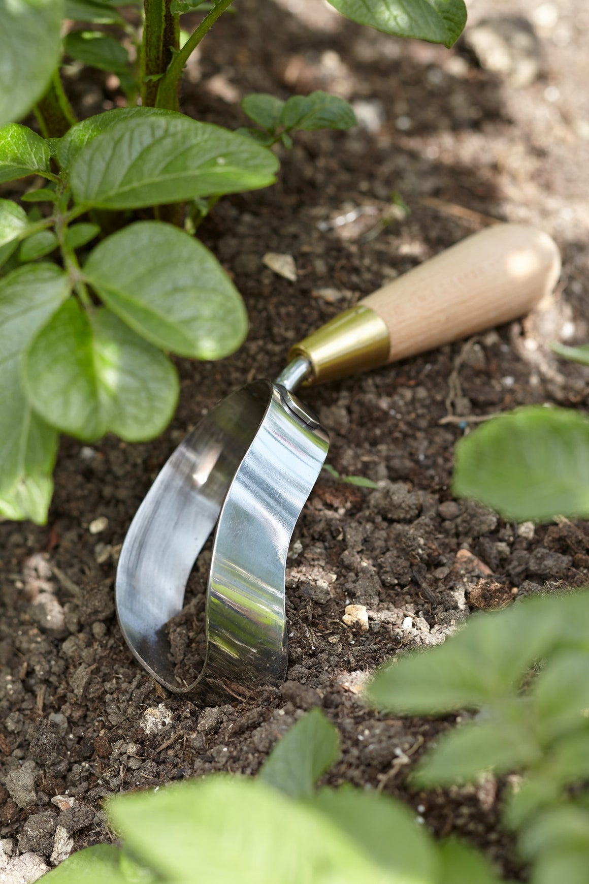 Sophie Conran Gardening Tools