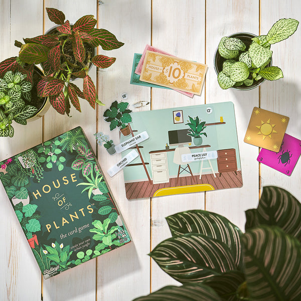 House of Plants Card Game Annabel James