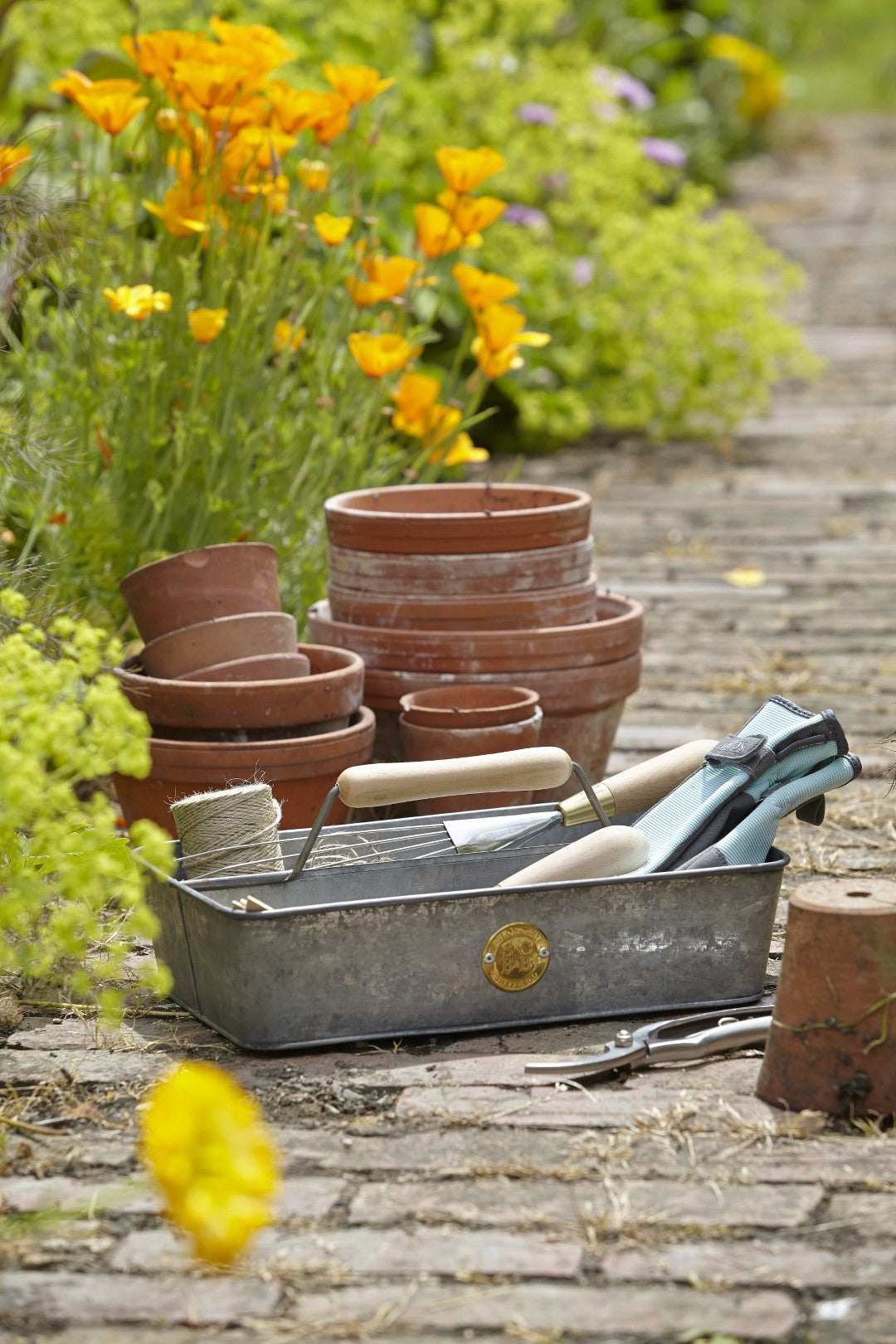 Galvanised Trug - annabeljames