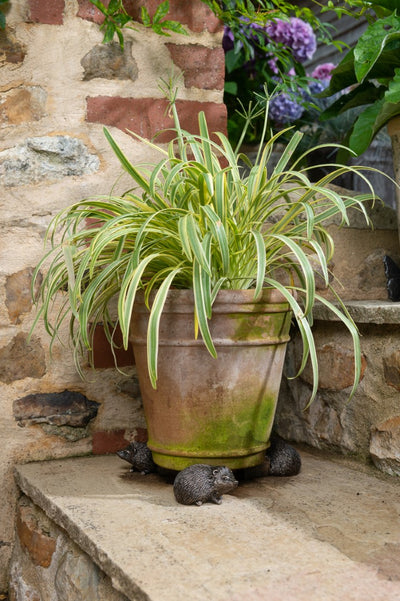 Hedgehog Plant Pot Feet - Set of Three