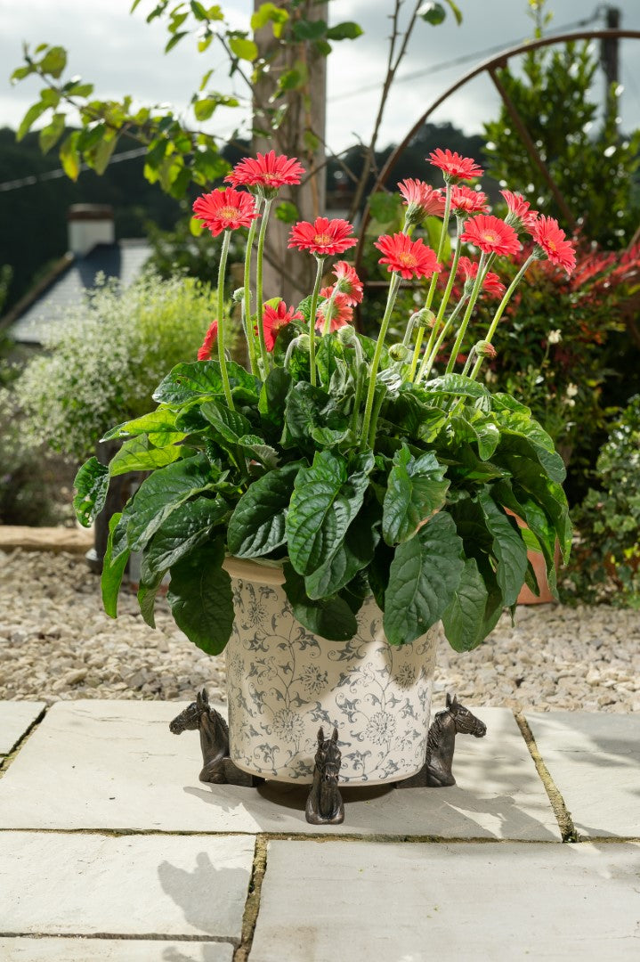 Horse Head Plant Pot Feet - Set of Three