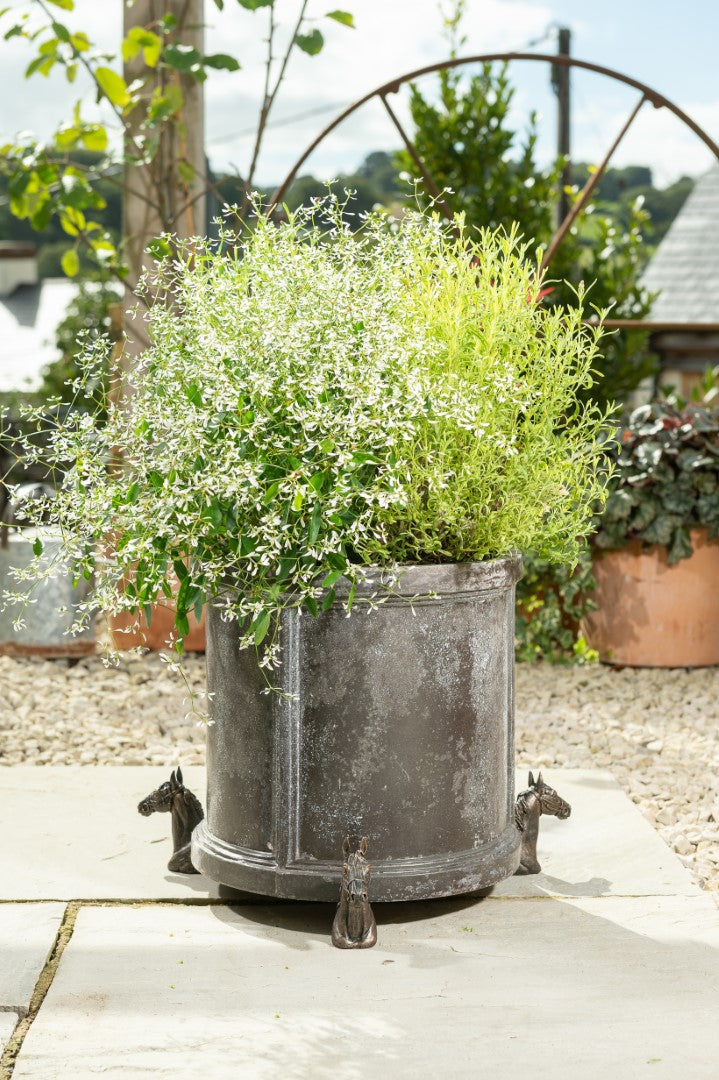 metal plant pot feet Jardinopia Horse Pot Feet