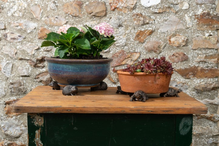 Tortoise Plant Pot Feet - Set of Three