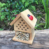 Make Your Own Insect House