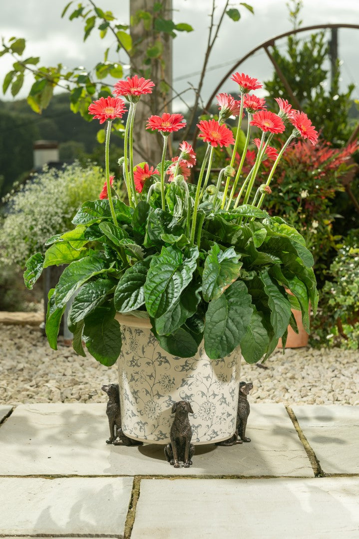Labrador Plant Pot Feet - Set of Three