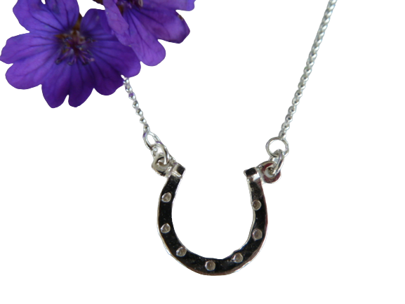 Silver Horseshoe Necklace