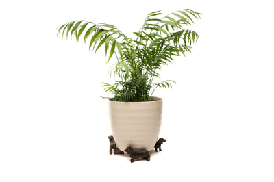 Dachshund Plant Pot Feet - Set of Three