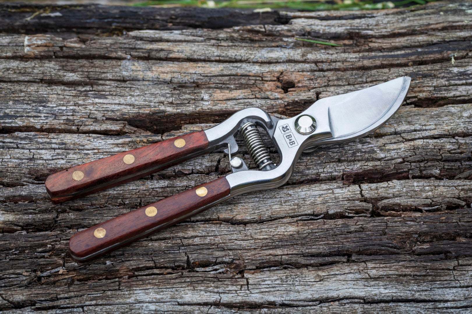 High Performance Secateurs